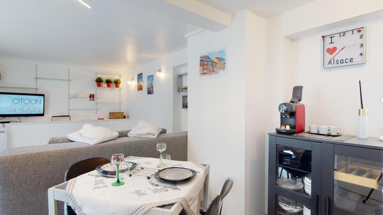 Studio Avec Parking Rue De La Semm 科尔马 外观 照片