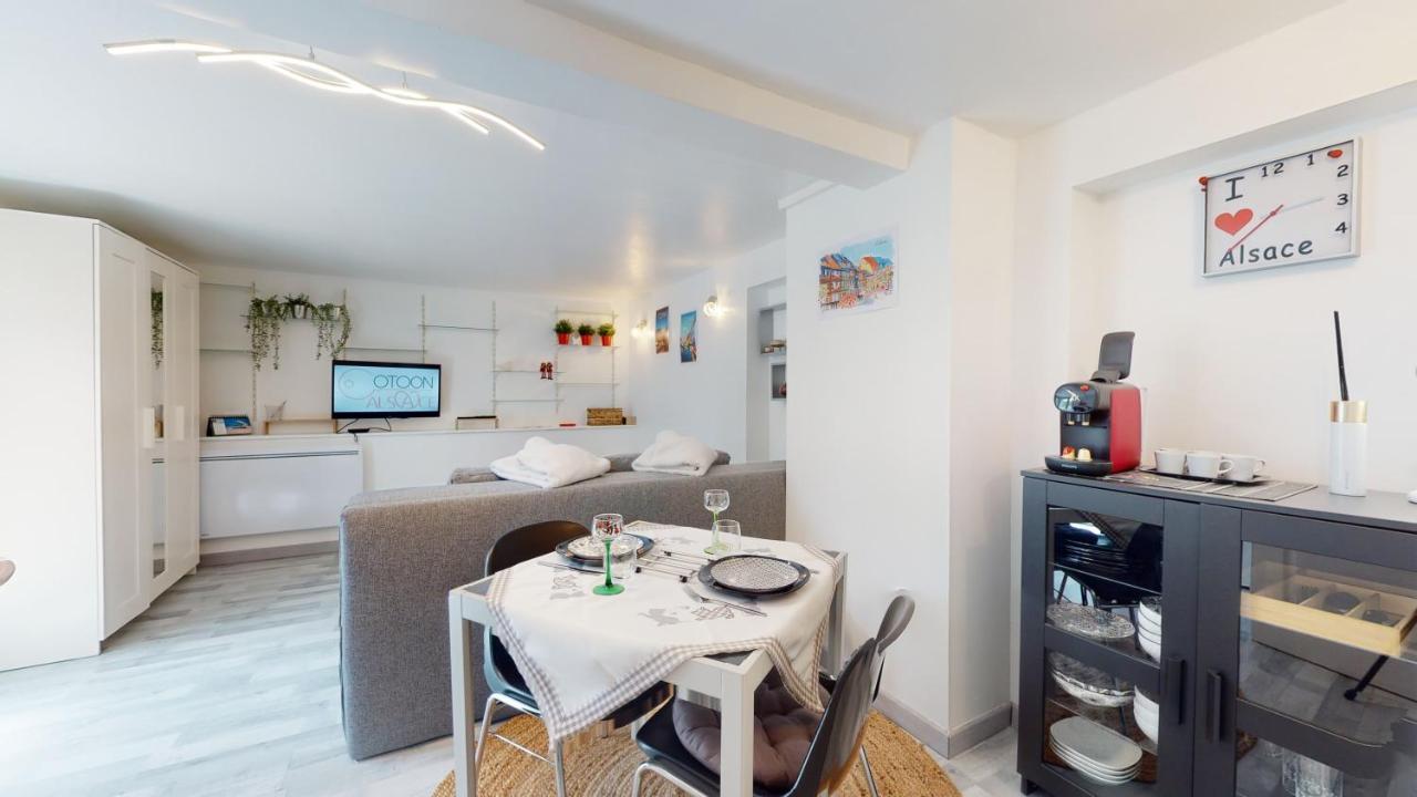 Studio Avec Parking Rue De La Semm 科尔马 外观 照片